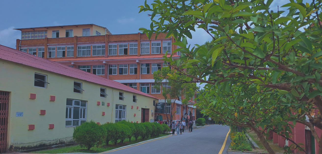 College 2 Background
